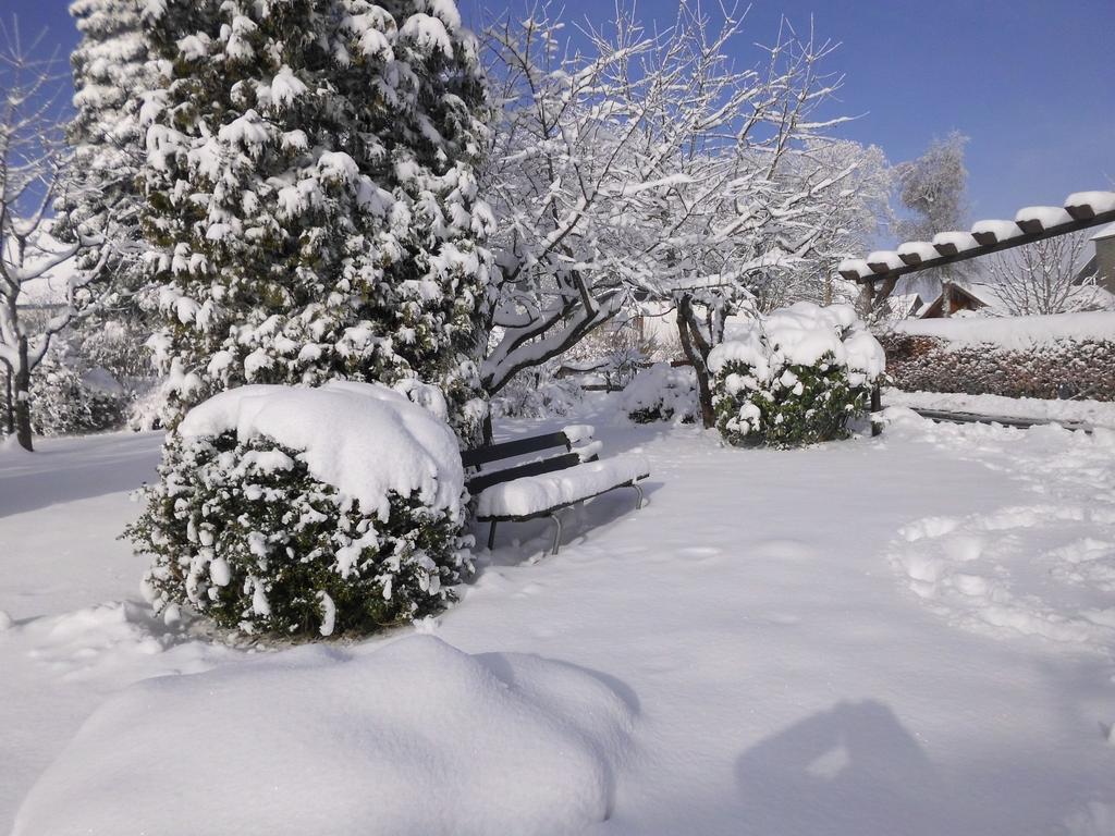Apartment In Langewiese Sauerland With Garden 温特贝格 外观 照片