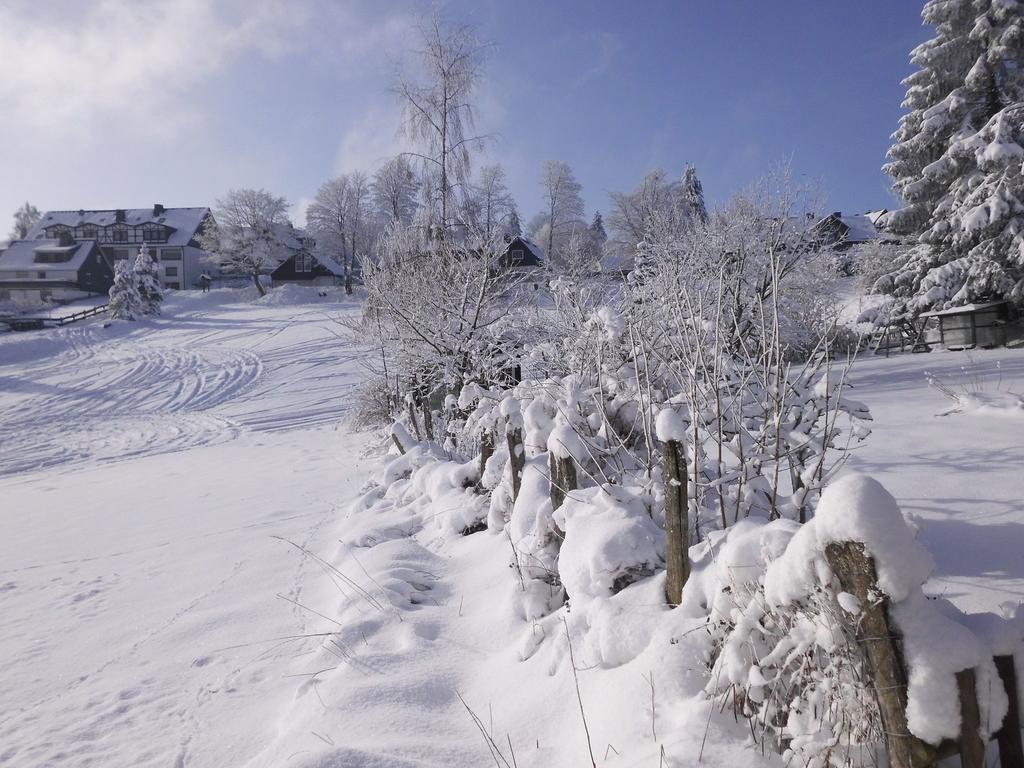 Apartment In Langewiese Sauerland With Garden 温特贝格 外观 照片